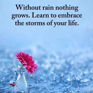 Meet your Posher, Katy